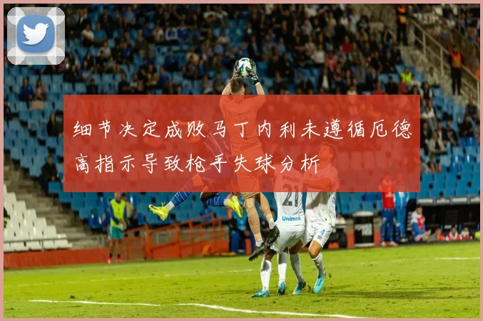 细节决定成败马丁内利未遵循厄德高指示导致枪手失球分析